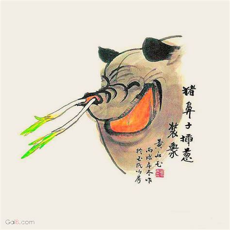 豬鼻筋 竹子象徵